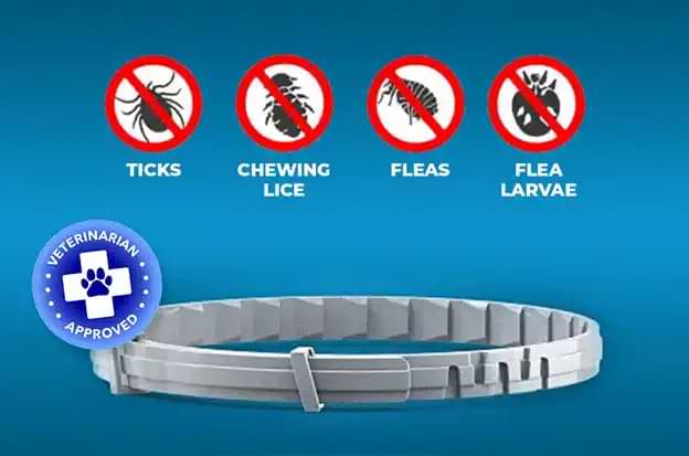 Barxbuddy BiteShield Collar Review
